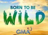 Born To Be Wild February 16 2025